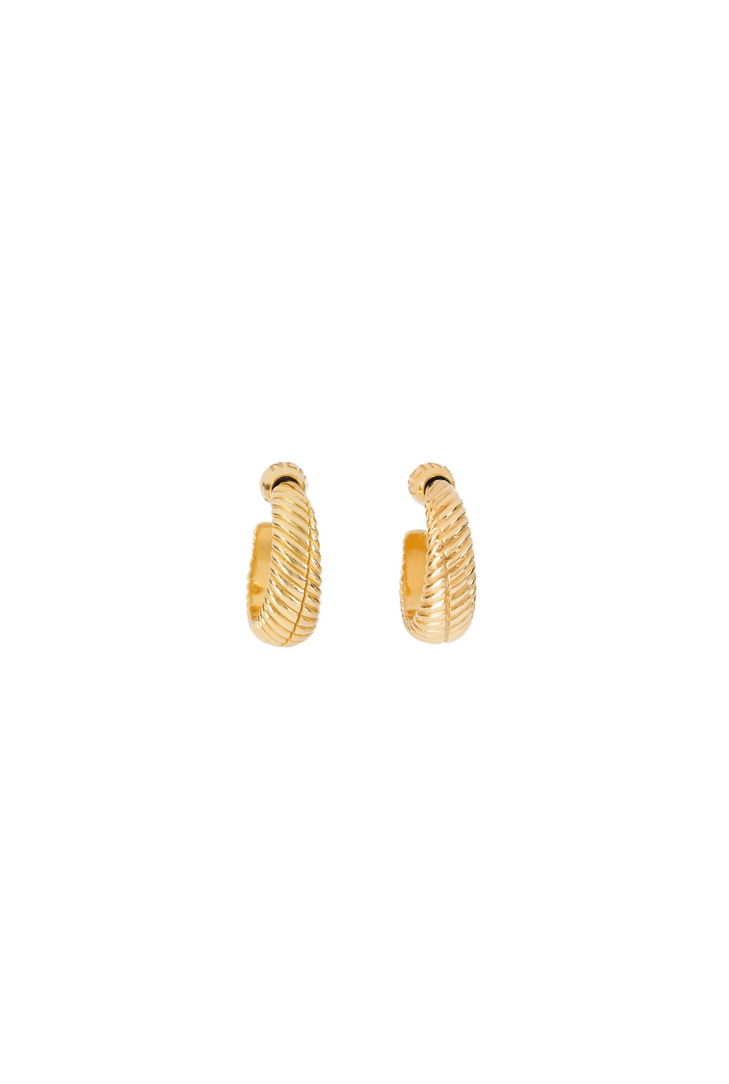 Open Shell Hoops Small