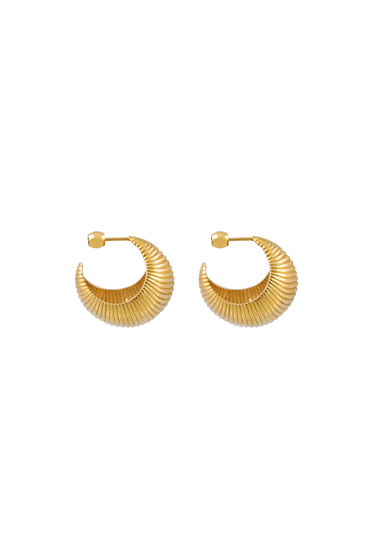 Gaia Shell Hoops Medium