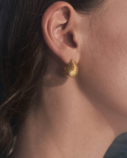 Gaia Shell Hoops Small